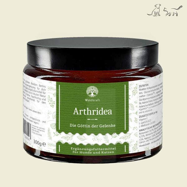 Arthridea Mockup webshop jpg