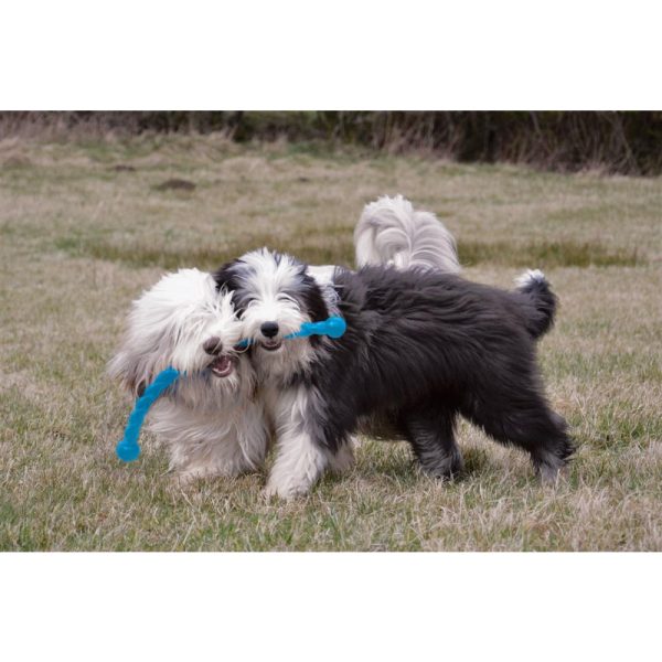 kong spielzeug dog safestix kunststoff schwimmt farblich sortiert fuer hunde~6