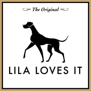 lila loves it ohr engel hund3
