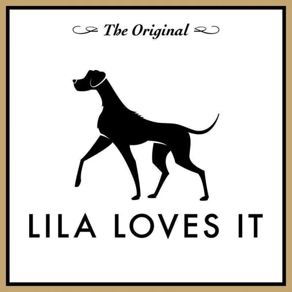 lila loves it ohr engel hund3