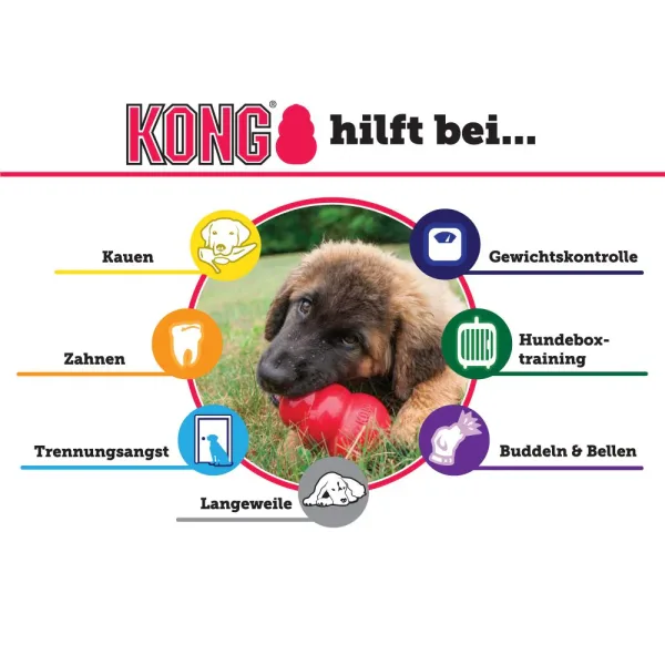 Hundespielzeug KONG Puppy.5