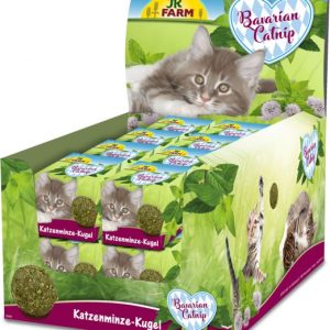 Katzenminze Kugel.2