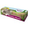 Katzenminze Maeuschen.3